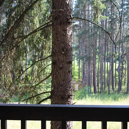 Gold Infinity 아파트 *