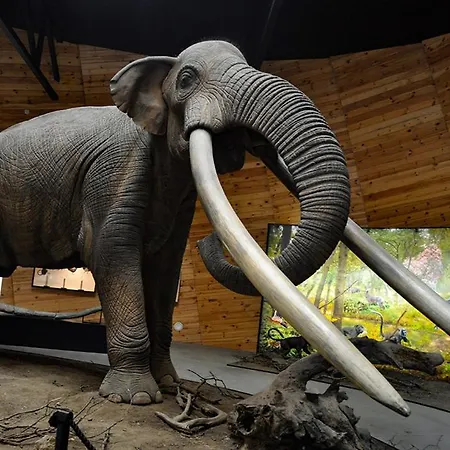 아파트 Gold Infinity *