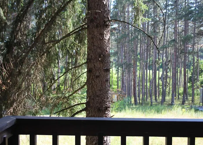 Gold Infinity Appartamento *