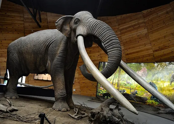 Appartamento Gold Infinity *