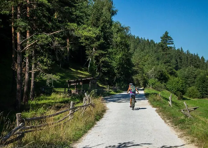 Gold Infinity * Velingrad